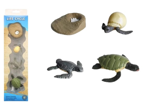 4 mini-figurine broasca testoasa din plastic figurina animal ciclul vietii figurina Montessori 36x9x4 cm